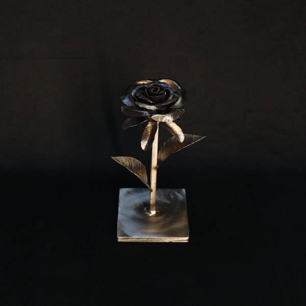 Rosa Origem em aço - Fogo