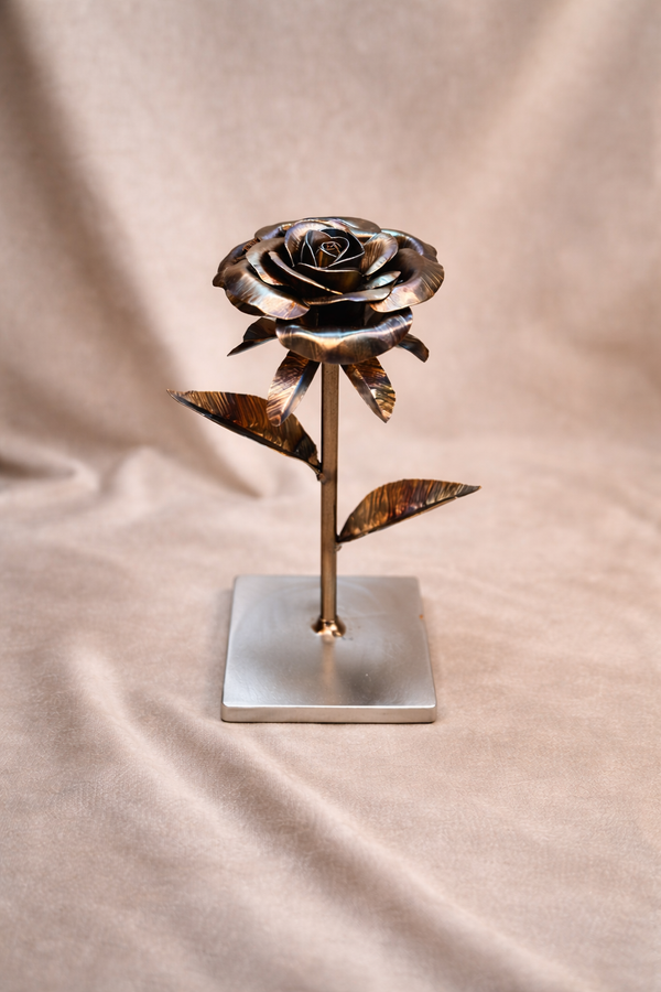 Rosa Origem em aço - Fogo